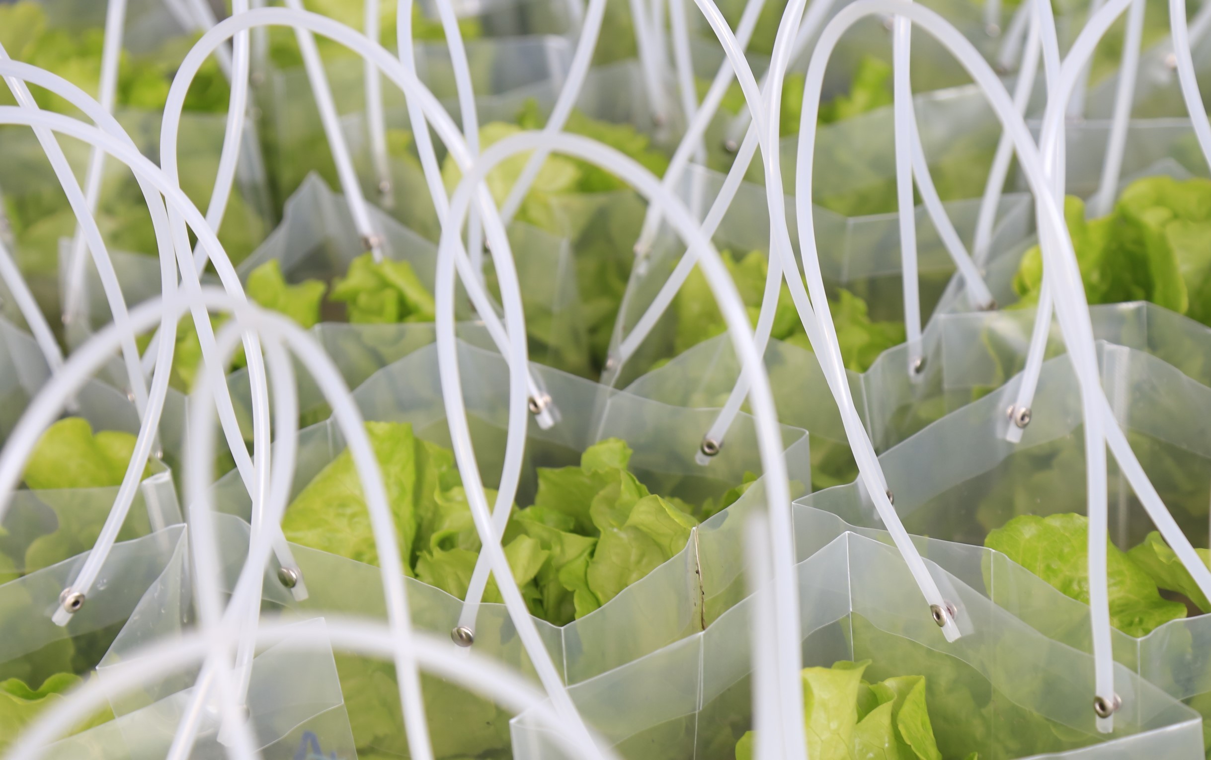 1764324473178315.jpg 王如竹3.jpg