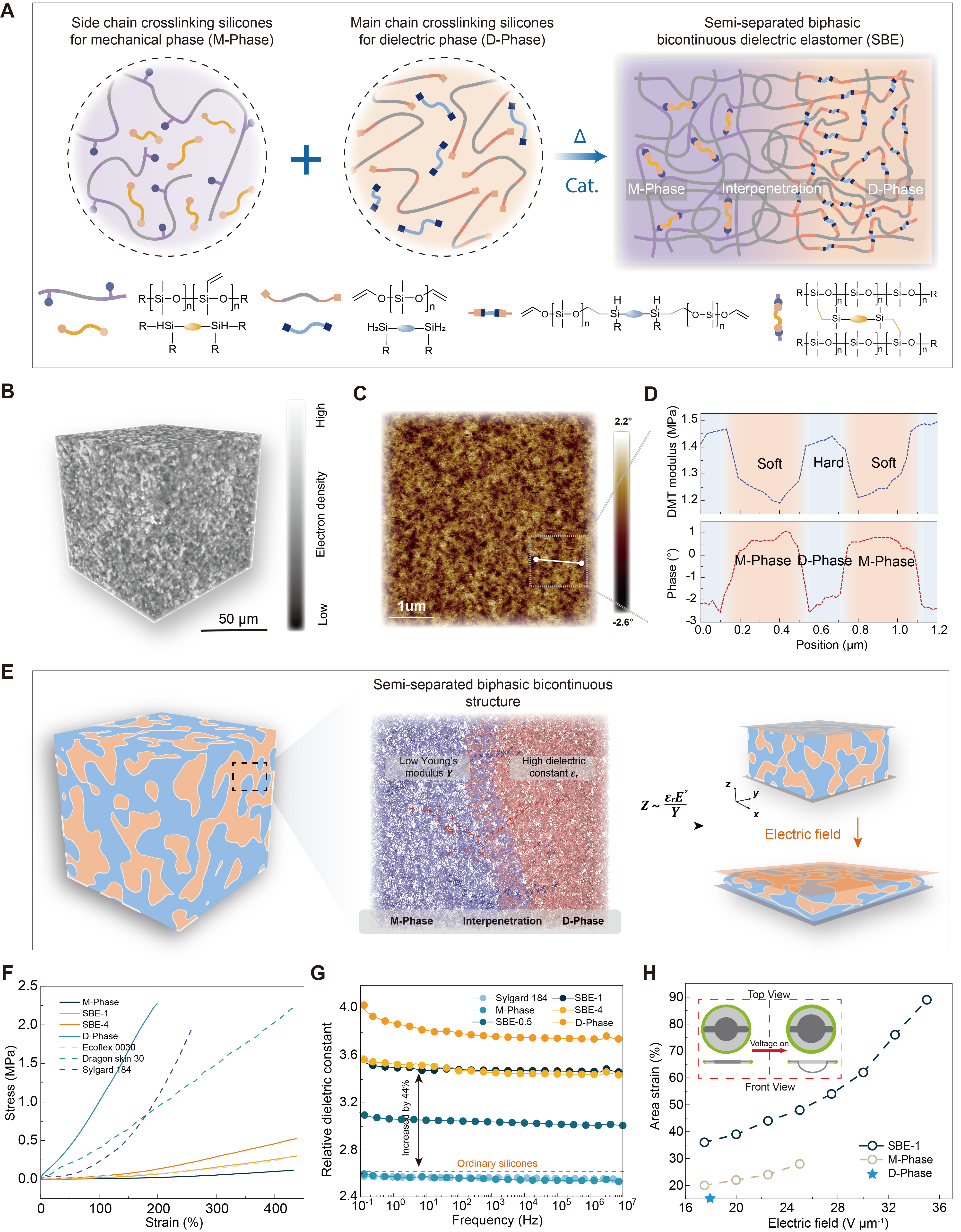 1764905250199802.png 图片1.png